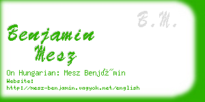 benjamin mesz business card